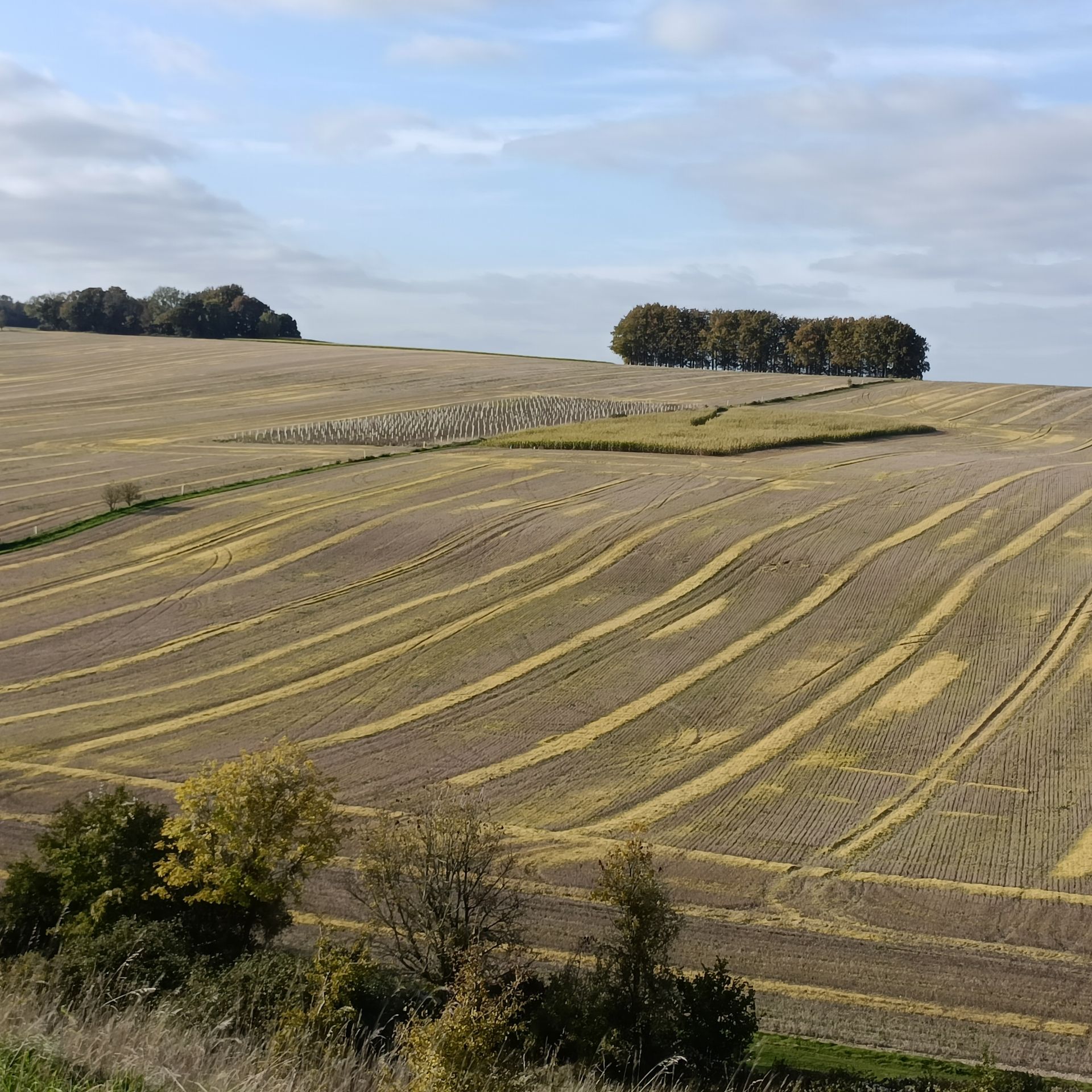 Looking towards Deanhill Barn